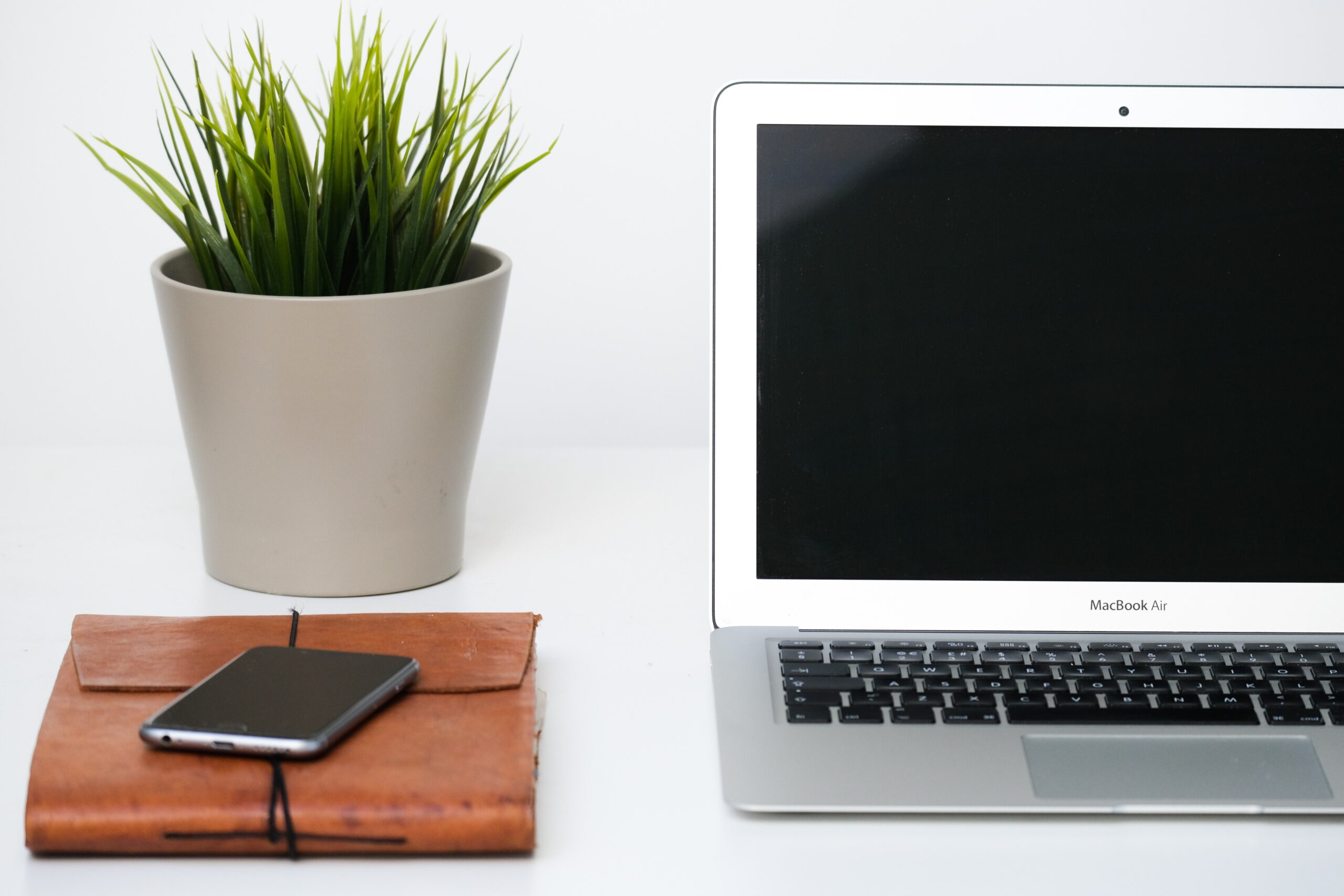 laptop and plant